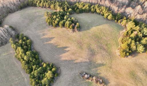 Photo #12 of 2743 Johnson School Road, Thaxton, VA 154.6 acres
