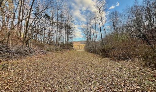 Photo #13 of 2743 Johnson School Road, Thaxton, VA 154.6 acres