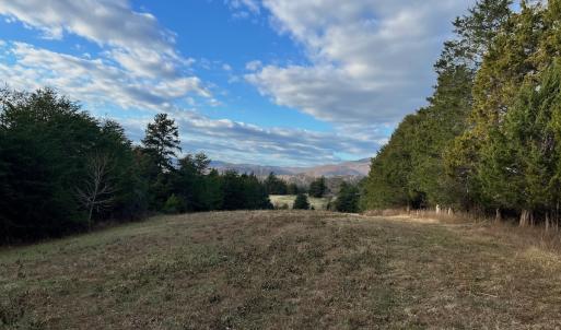 Photo #15 of 2743 Johnson School Road, Thaxton, VA 154.6 acres