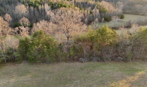 Photo #17 of 2743 Johnson School Road, Thaxton, VA 154.6 acres