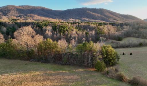 Photo #3 of 2743 Johnson School Road, Thaxton, VA 154.6 acres