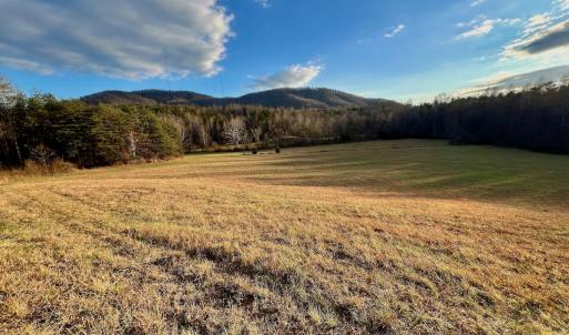 Photo #5 of 2743 Johnson School Road, Thaxton, VA 154.6 acres