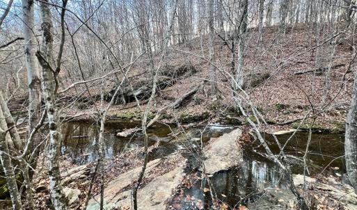 Photo #7 of 2743 Johnson School Road, Thaxton, VA 154.6 acres
