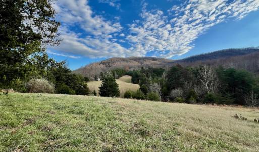 Photo #29 of 2743 Johnson School Road, Thaxton, VA 154.6 acres