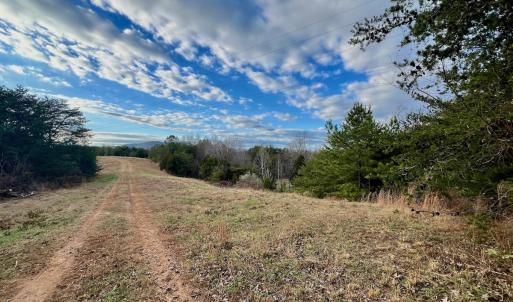 Photo #31 of 2743 Johnson School Road, Thaxton, VA 154.6 acres