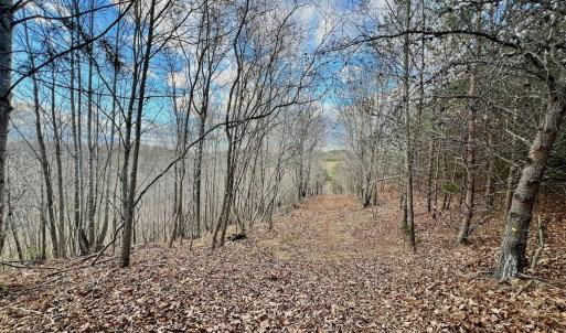 Photo #39 of 2743 Johnson School Road, Thaxton, VA 154.6 acres