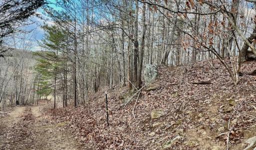 Photo #40 of 2743 Johnson School Road, Thaxton, VA 154.6 acres