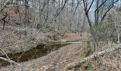 Photo #43 of 2743 Johnson School Road, Thaxton, VA 154.6 acres