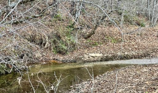 Photo #44 of 2743 Johnson School Road, Thaxton, VA 154.6 acres