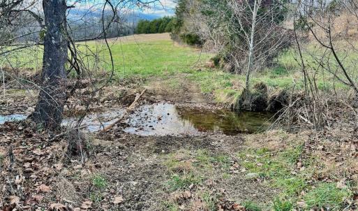 Photo #46 of 2743 Johnson School Road, Thaxton, VA 154.6 acres