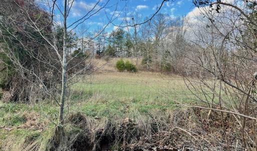 Photo #47 of 2743 Johnson School Road, Thaxton, VA 154.6 acres