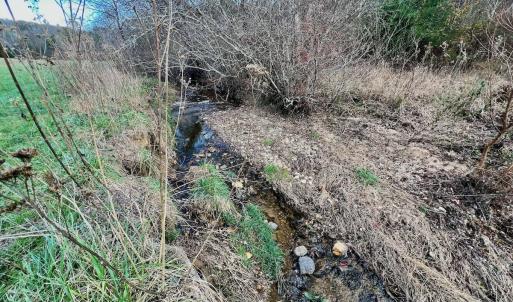 Photo #49 of 2743 Johnson School Road, Thaxton, VA 154.6 acres