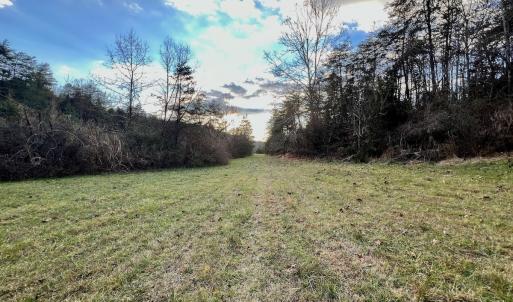 Photo #52 of 2743 Johnson School Road, Thaxton, VA 154.6 acres