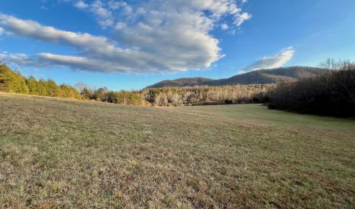 Photo #54 of 2743 Johnson School Road, Thaxton, VA 154.6 acres