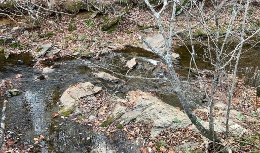 Photo #55 of 2743 Johnson School Road, Thaxton, VA 154.6 acres
