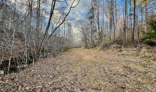 Photo #56 of 2743 Johnson School Road, Thaxton, VA 154.6 acres