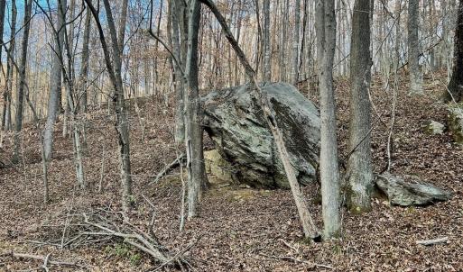 Photo #57 of 2743 Johnson School Road, Thaxton, VA 154.6 acres