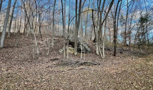 Photo #58 of 2743 Johnson School Road, Thaxton, VA 154.6 acres