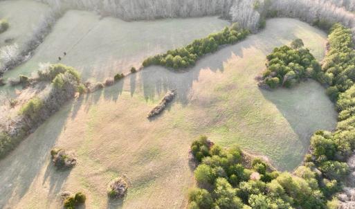 Photo #61 of 2743 Johnson School Road, Thaxton, VA 154.6 acres