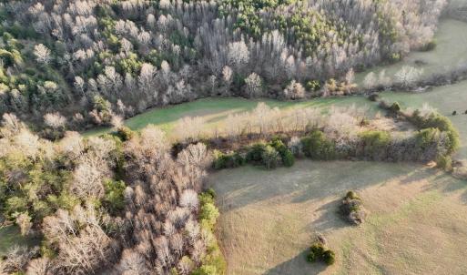 Photo #62 of 2743 Johnson School Road, Thaxton, VA 154.6 acres