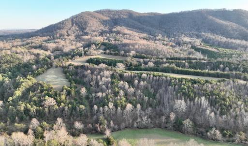Photo #63 of 2743 Johnson School Road, Thaxton, VA 154.6 acres