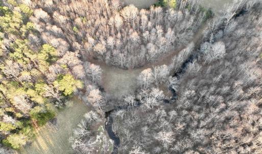 Photo #64 of 2743 Johnson School Road, Thaxton, VA 154.6 acres