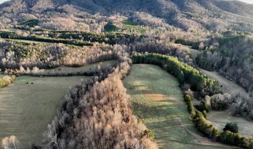 Photo #66 of 2743 Johnson School Road, Thaxton, VA 154.6 acres