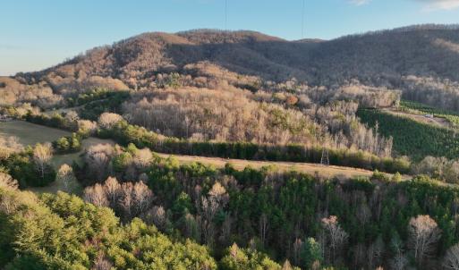 Photo #75 of 2743 Johnson School Road, Thaxton, VA 154.6 acres