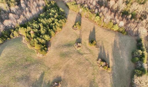 Photo #76 of 2743 Johnson School Road, Thaxton, VA 154.6 acres