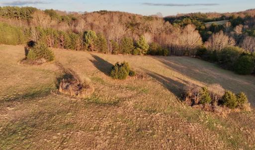 Photo #78 of 2743 Johnson School Road, Thaxton, VA 154.6 acres