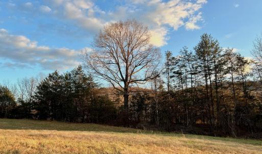 Photo #79 of 2743 Johnson School Road, Thaxton, VA 154.6 acres