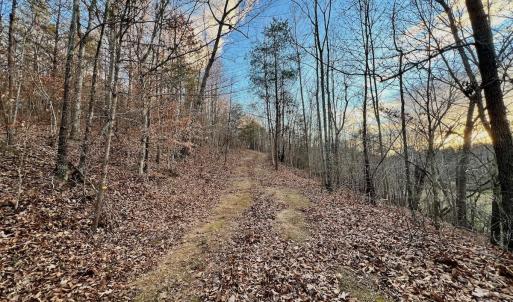 Photo #80 of 2743 Johnson School Road, Thaxton, VA 154.6 acres