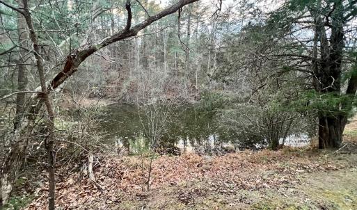Photo #83 of 2743 Johnson School Road, Thaxton, VA 154.6 acres