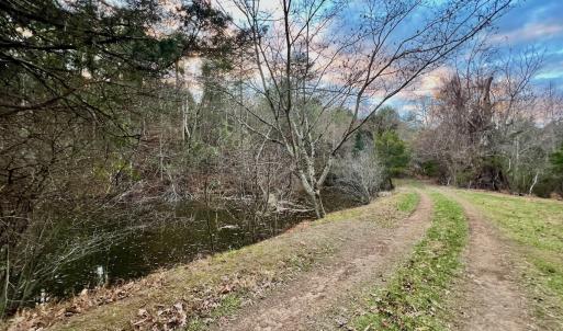Photo #84 of 2743 Johnson School Road, Thaxton, VA 154.6 acres