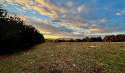 Photo #81 of 2743 Johnson School Road, Thaxton, VA 154.6 acres