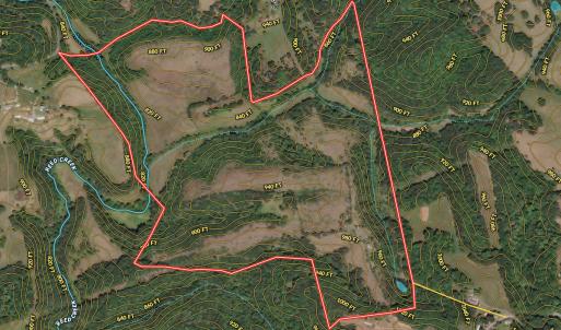 Photo #87 of 2743 Johnson School Road, Thaxton, VA 154.6 acres
