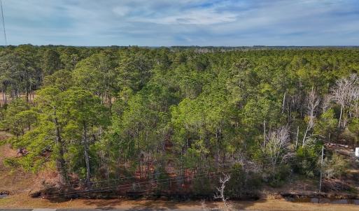 Photo #2 of SOLD property in Off Horne Rd, Lowland, NC 3.1 acres