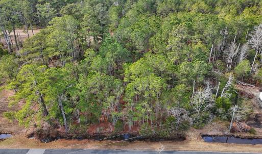 Photo #18 of SOLD property in Off Horne Rd, Lowland, NC 3.1 acres