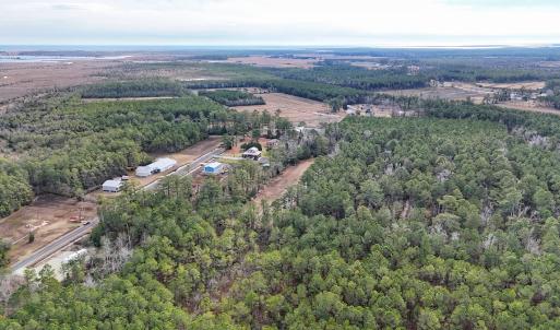Photo #19 of SOLD property in Off Horne Rd, Lowland, NC 3.1 acres
