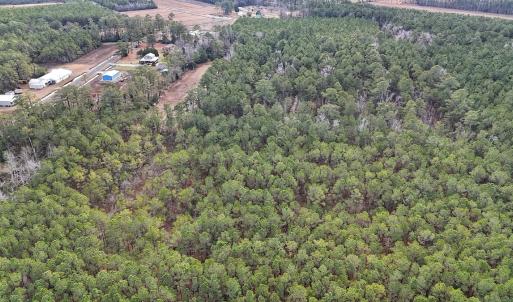 Photo #20 of SOLD property in Off Horne Rd, Lowland, NC 3.1 acres