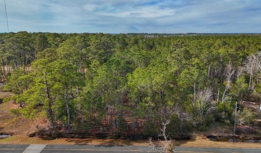 Photo #3 of SOLD property in Off Horne Rd, Lowland, NC 3.1 acres