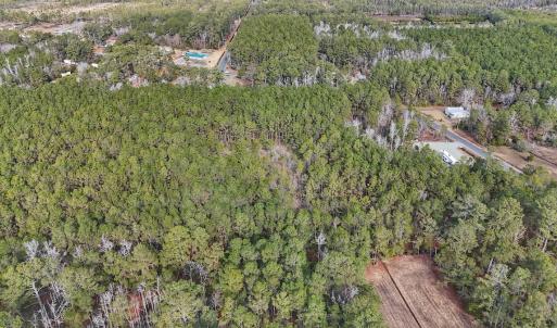 Photo #21 of SOLD property in Off Horne Rd, Lowland, NC 3.1 acres