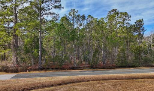 Photo #25 of SOLD property in Off Horne Rd, Lowland, NC 3.1 acres