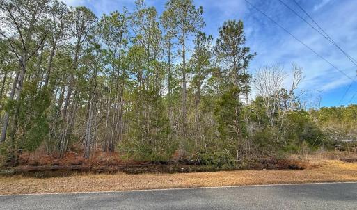 Photo #26 of SOLD property in Off Horne Rd, Lowland, NC 3.1 acres