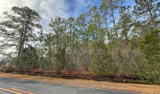 Photo #27 of SOLD property in Off Horne Rd, Lowland, NC 3.1 acres