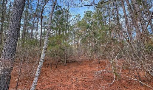 Photo #29 of SOLD property in Off Horne Rd, Lowland, NC 3.1 acres