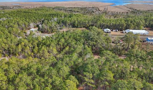 Photo #5 of SOLD property in Off Horne Rd, Lowland, NC 3.1 acres