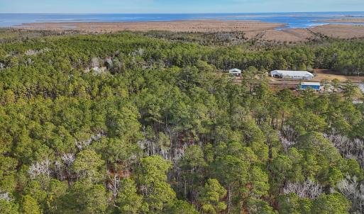 Photo #6 of SOLD property in Off Horne Rd, Lowland, NC 3.1 acres