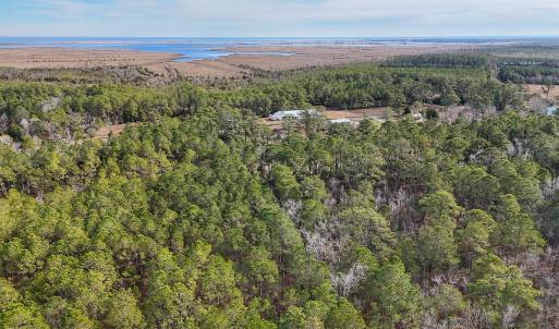 Photo #7 of SOLD property in Off Horne Rd, Lowland, NC 3.1 acres