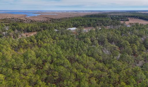 Photo #8 of SOLD property in Off Horne Rd, Lowland, NC 3.1 acres